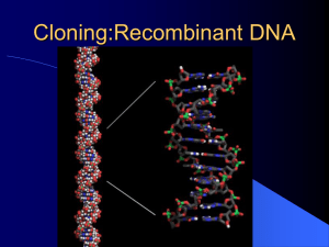 Restriction Enzymes, Vectors, and Genetic Libraries