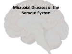 Microbial Diseases of the Nervous System