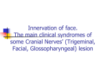 Trigeminal, Facial, Glossopharyngeal