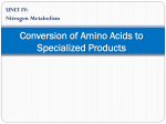 Ch21 Conversion of Amino Acids to Specialized Products