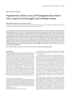Supplementary Motor Area and Presupplementary Motor Area
