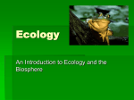 Ecology Levels of Organization Ppt