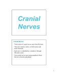 Cranial Nerves Twelve pairs of cranial nerves arise from the brain