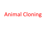 Animal Cloning repro and non