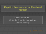 Emotions and Memory - Stanford Law School