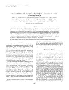 adult rat spinal cord culture on an organosilane surface in