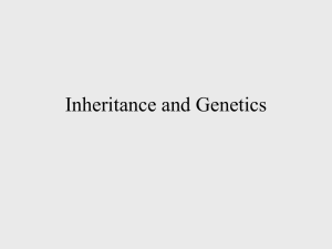 Inheritance and Genetics