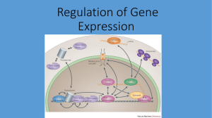 Regulation of Gene Expression