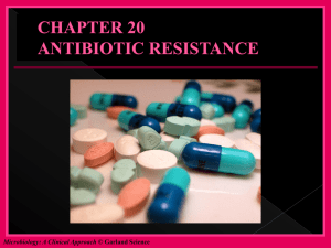 CHAPTER 20 ANTIBIOTIC RESISTANCE