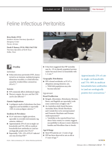 Feline Infectious Peritonitis