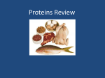 Proteins Review - kehsscience.org