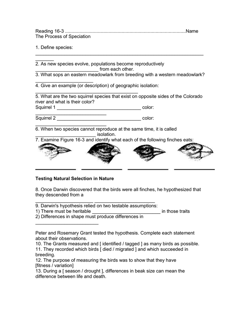 selection-and-speciation-worksheet-answers