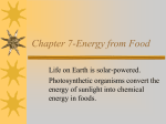 Chapter 7- Energy