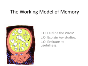 The Working Model of Memory