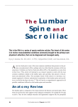 The Lumbar Spine and Sacroiliac