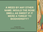 A Weed By Any Other Name: Would The Rose Smell As Sweet If It