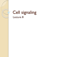 Cell signaling - Lectures For UG-5
