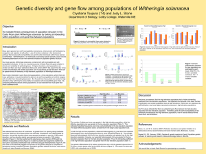 Genetic Diversity and Gene Flow Among Populations of Witheringia