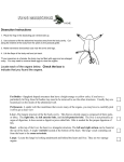 Frog dissection 1