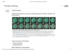 32 Cell Division