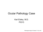 Ocular Pathology Case