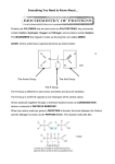 AS Biology - Everything Protein