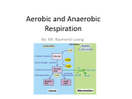 Aerobic and Anaerobic Respiration - SBI