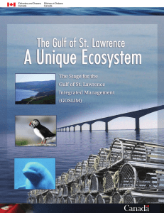 The Gulf of St. Lawrence: A Unique Ecosystem