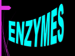 Enzymes