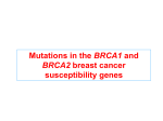 BRCA1 - BioSyL