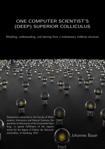 One Computer Scientist`s (Deep) Superior Colliculus