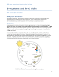 Ecosystems and Food Webs