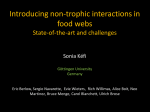 Introducing non-trophic interactions in food webs