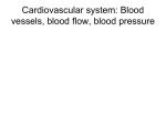 Cardiovascular system: Blood vessels, blood flow, blood pressure