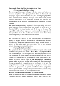 Autonomic Control of the Gastrointestinal Tract 1. Parasympathetic