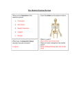 The Skeletal System Review