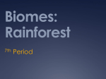 Biomes: Rainforest