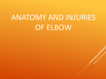 Anatomy and Injuries of Elbow
