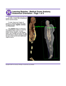 Learning Modules - Medical Gross Anatomy Anatomical