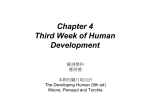 Chapter 4 Third Week of Human Development
