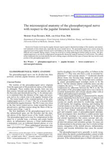 The microsurgical anatomy of the glossopharyngeal nerve with