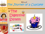 The Journey of a Cupcake