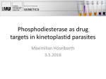 Phosphodiesterase as drug targets in kinetoplastid parasites
