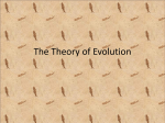 Evidence Supporting The Theory of Evolution