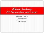 Clinical Anatomy of Pericardium and Heart part 1