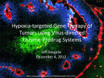 hypoxic cells