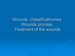 Lectures 4. Wounds