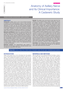 Anatomy of Axillary Nerve and Its Clinical Importance