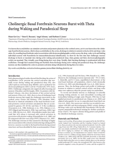 Cholinergic Basal Forebrain Neurons Burst with Theta during