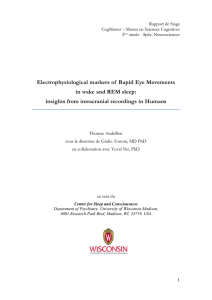 Electrophysiological markers of Rapid Eye Movements in